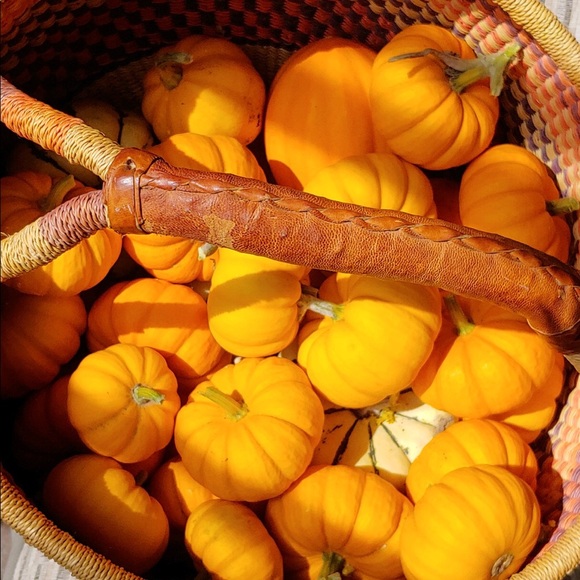 Meet your Posher, Catherine - Picture 4 of 6